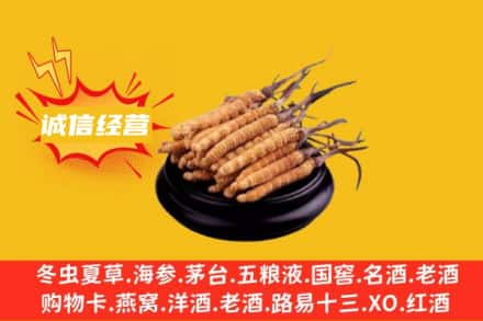 银川回收冬虫夏草